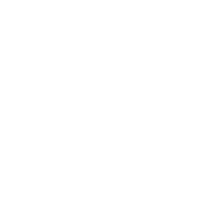 logo light
